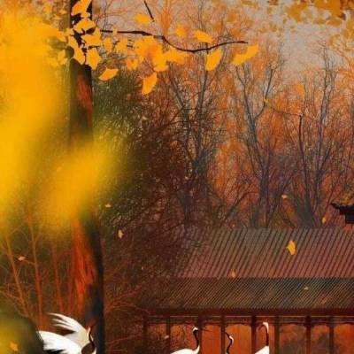 一代宗师2手游官方版下载